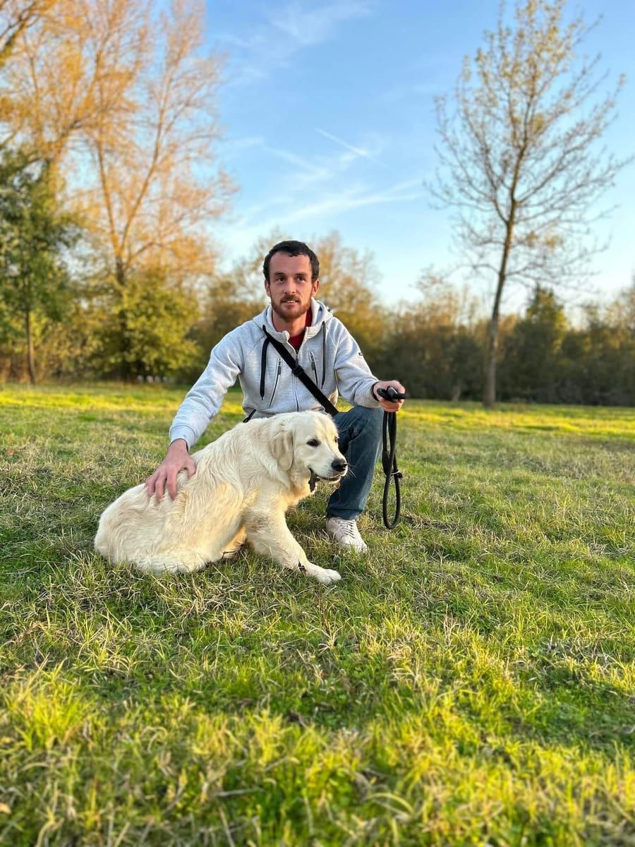 Profil de Zeno